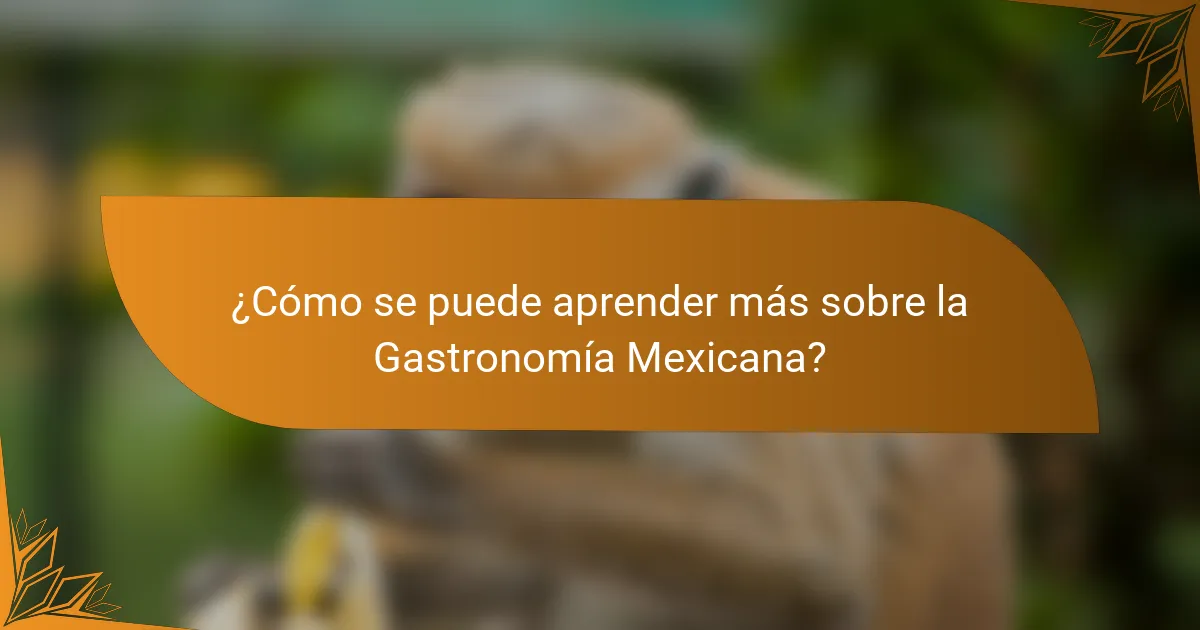 ¿Cómo se puede aprender más sobre la Gastronomía Mexicana?